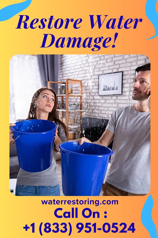 water restoration Victory Disaster Recovery Masters Porter