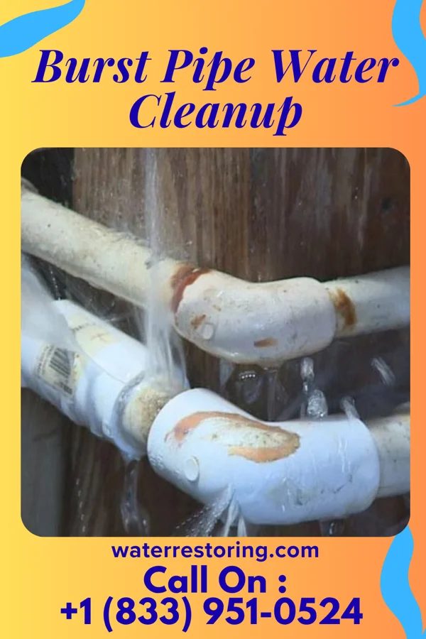 Burst Pipe Water Cleanup in Porter, MN