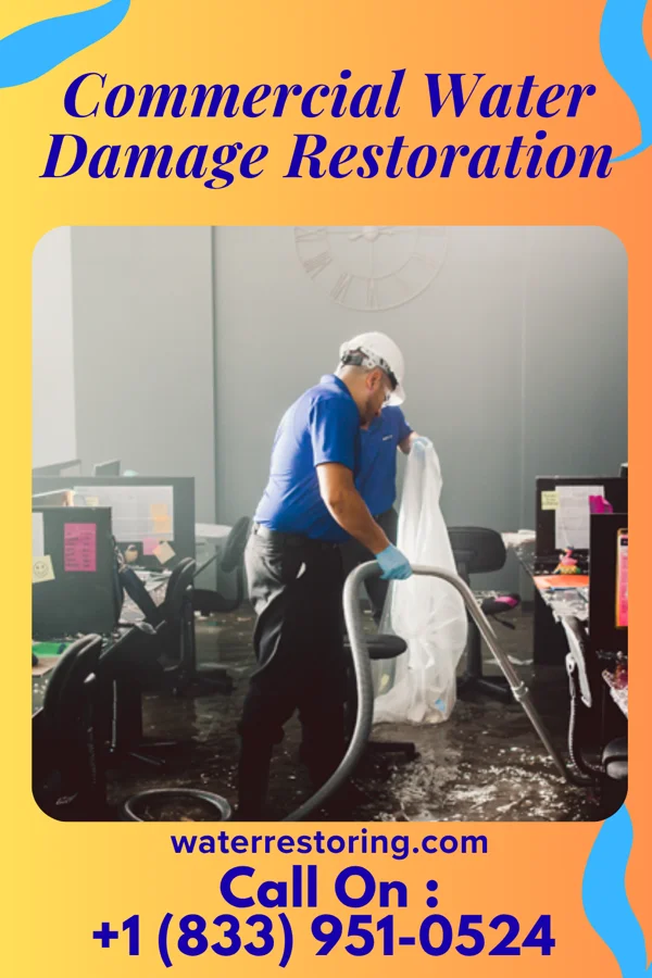 Commercial Water Damage Restoration in Porter, MN