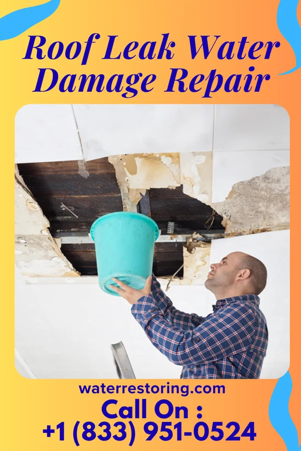 Roof Leak Water Damage Repair in Porter, MN